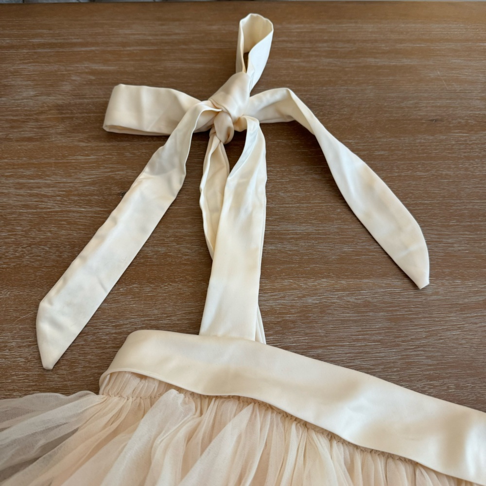 NEW! Mable Tulle Mini Dress - Picture 4 of 7